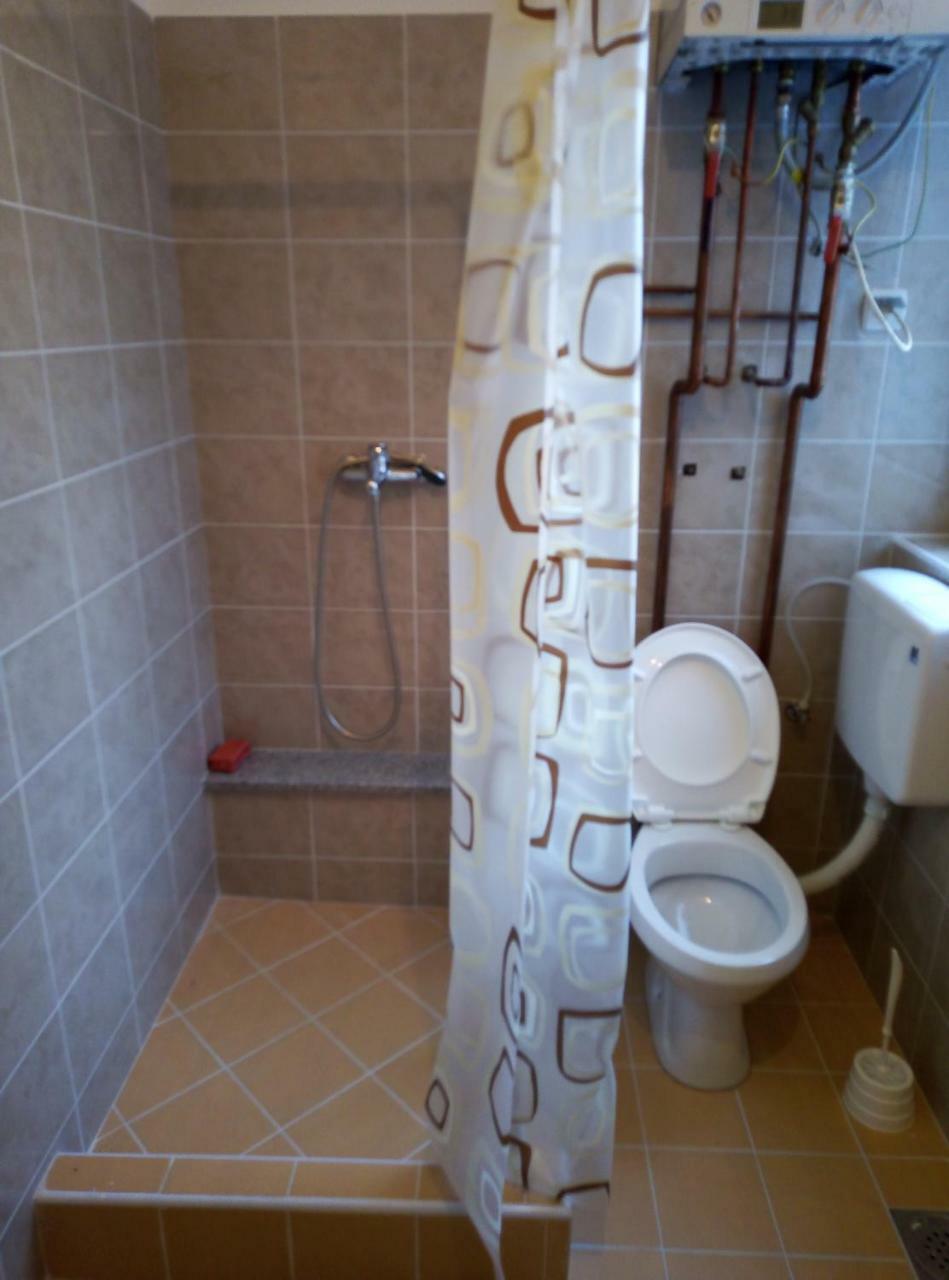 Apartman Miljkovic Aranđelovac Exterior foto