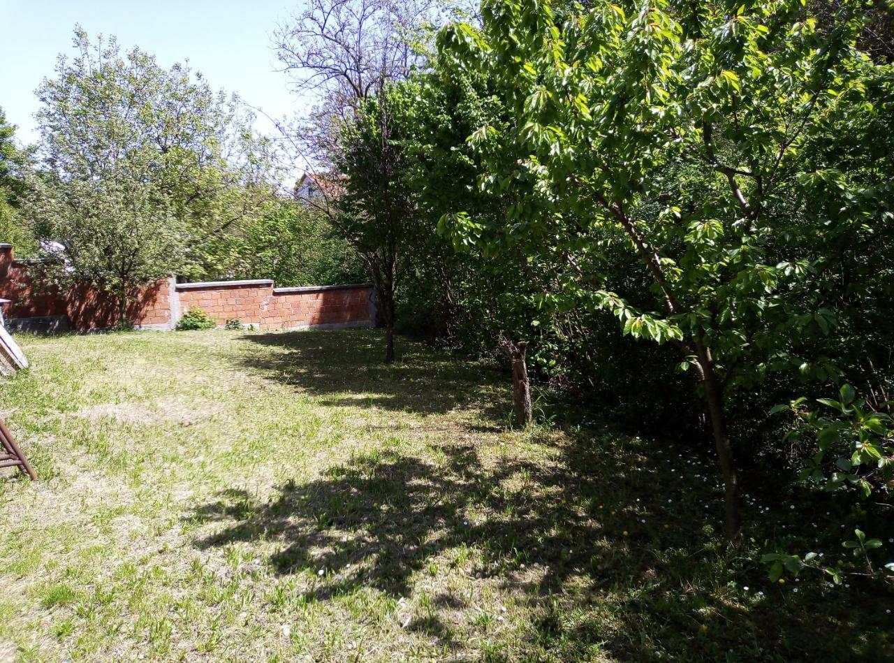 Apartman Miljkovic Aranđelovac Exterior foto